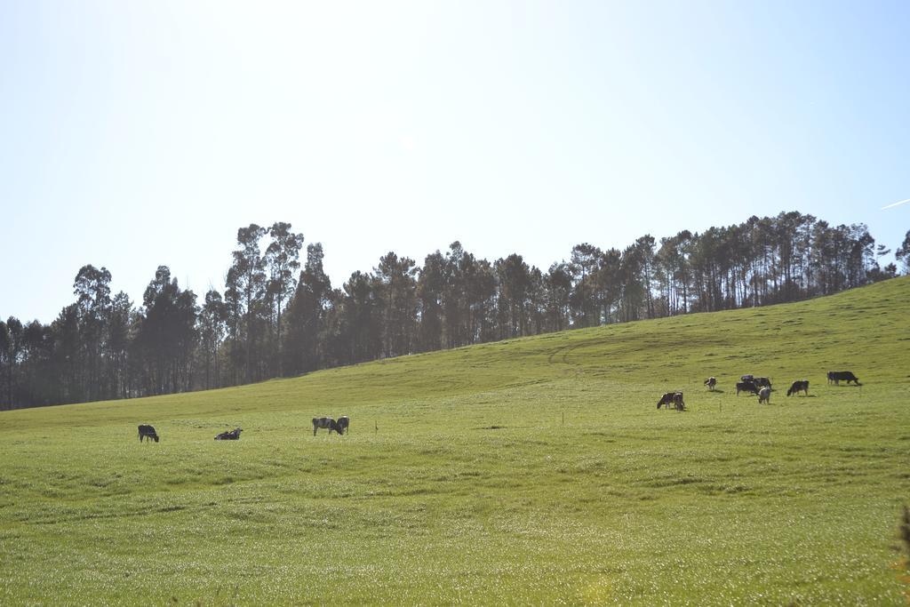 Vila Peregrina Castaneda  エクステリア 写真